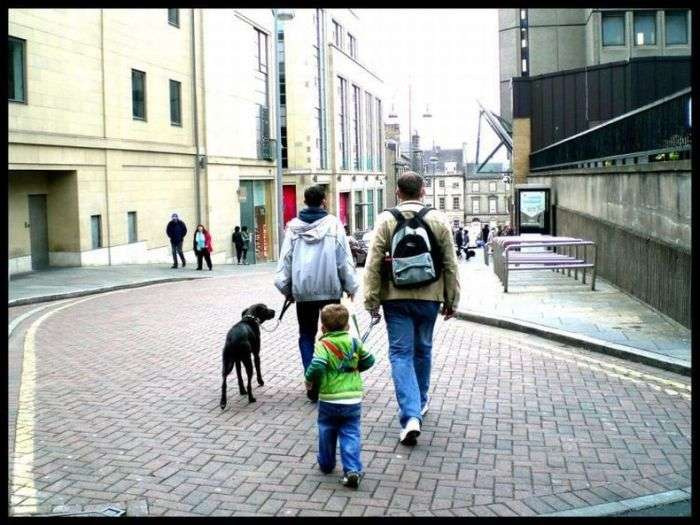 Батьки, які вигулюють дітей на повідках (35 фото)