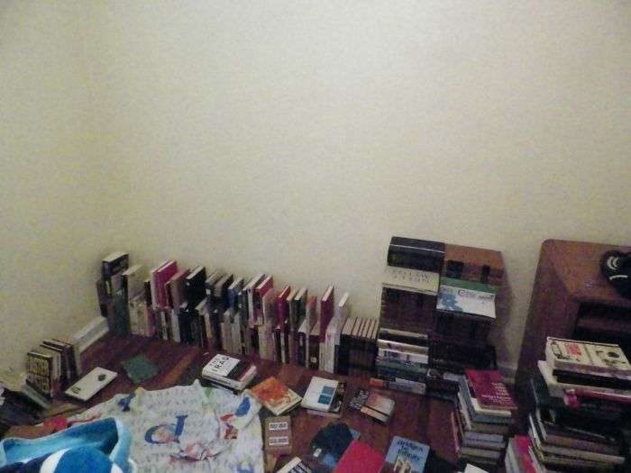 Якщо у вас немає книжкової шафи (10 фото)