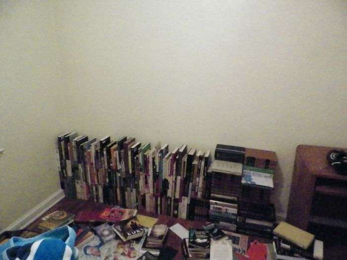 Якщо у вас немає книжкової шафи (10 фото)