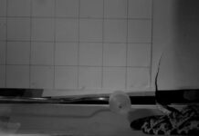 Удари отруйної змії вперше зняті на високошвидкісному відео з вишуканими деталями