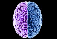 Старіння мозку: дієта може допомогти повернути назад деградацію білка