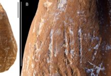 Rote Buntstifte offenbaren mögliche künstlerische Fähigkeiten der Neandertaler