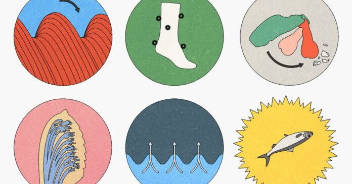 bc97069c-a33c-402b-a30c-9b5d635a3e76