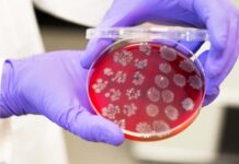 Фекальна трансплантація демонструє обнадійливі результати щодо підвищення ефективності лікування раку