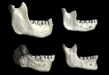 773 000-річні скам’янілості в Марокко кидають виклик хронології походження людини