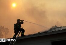 Глобальна температура трохи впала в 2025 році, але тенденція до потепління прискорюється