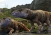 Dinosaurus Bertanduk Hilang di Eropa: Pandangan Baru pada Fauna Kapur
