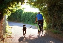 Trening przekrojowy: dlaczego różnorodność jest kluczem do długoterminowej sprawności i zdrowia