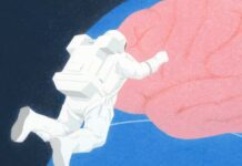 Зсув Мозку в Космосі: Нові Дослідження Показують, Як Мікрогравітація Перебудовує Людський Мозок