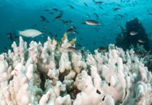 Глобальне потепління прискорюється: Земля нагрівається з безпрецедентною швидкістю