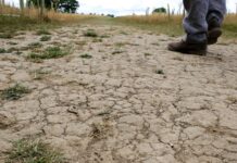 Посухи Підсилюють Стійкість до Антибіотиків: Зміна Клімату Розганяє Поширення Супербактерій