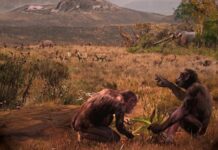 Ранні Предки Людини Могли Ходити Прямо в Європі, а Не в Африці