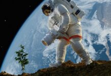 Місячне землеробство: Вчені вирощують культури в імітованому місячному ґрунті