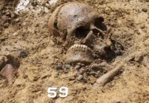 La vita dopo Roma: nuove prove del DNA rivelano il cambiamento delle norme sociali e la longevità alla frontiera