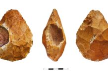 Інструменти Homo erectus включають приголомшливі геоди та скам’янілості, можливо, як спосіб зв’язатися з космосом, виявило дослідження