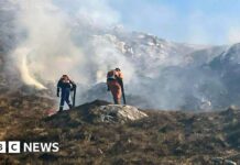 Шотландія в стані підвищеної готовності: ризик лісових пожеж досяг «екстремального» рівня