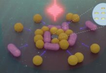 Robot Mikro Bertenaga Cahaya: Era Baru Presisi di Dunia Mikroba