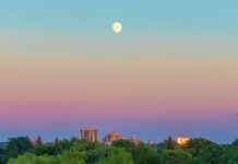 Зоряне небо прямо біля порога: як освоїти небесну сферу, не покидаючи свого району