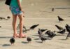 Why City Birds Flee From Women Faster Than Men: A Scientific Mystery