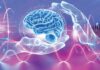 Long-Term Safety of Intracortical Microstimulation for Restoring Touch