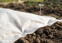 Чому 60% вашого насіння квасолі не сходять і як дешева тканина вирішує цю проблему